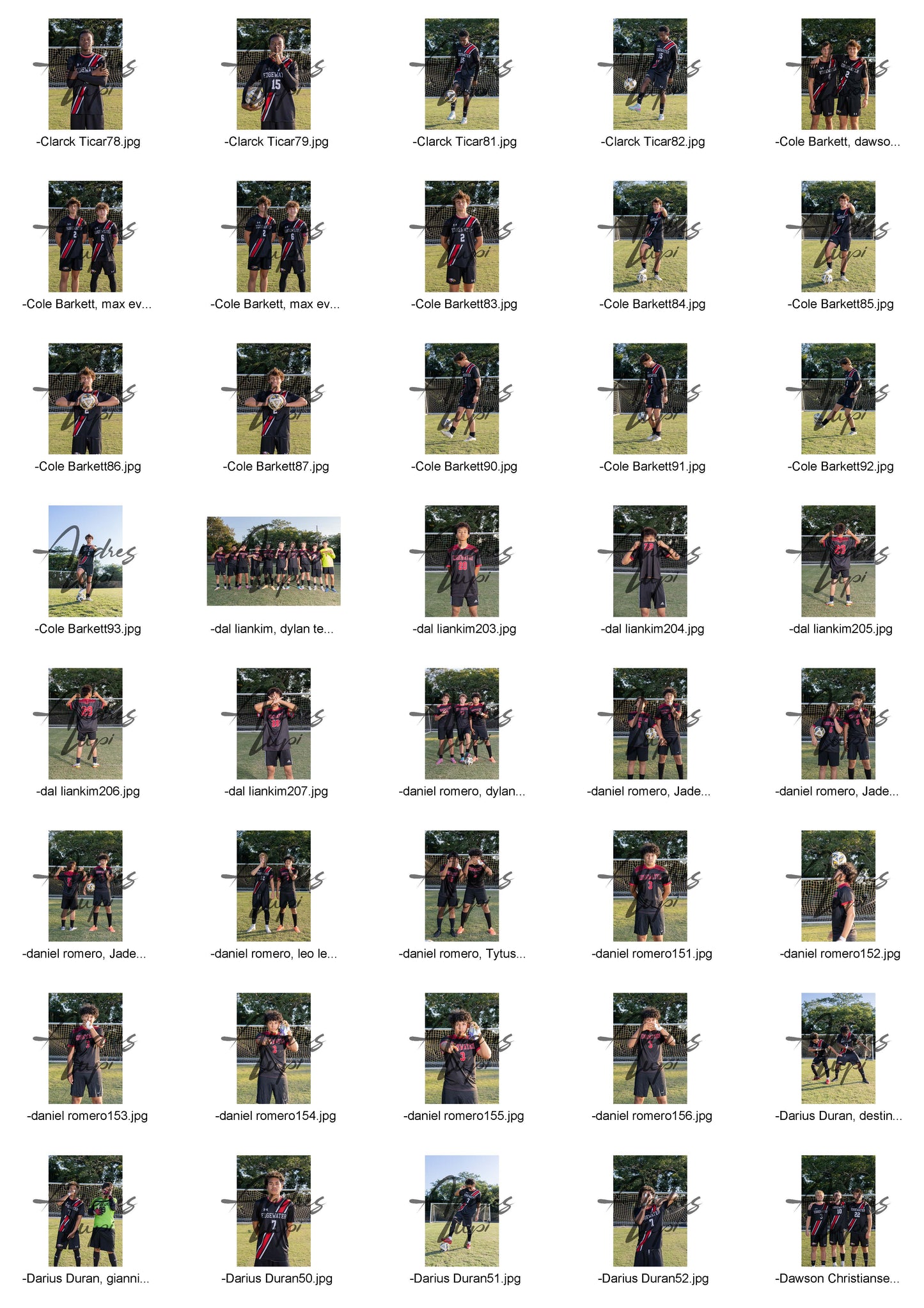 Edgewater Mens Soccer