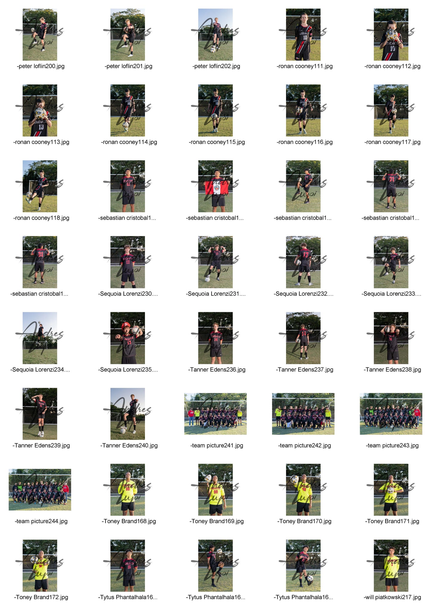 Edgewater Mens Soccer